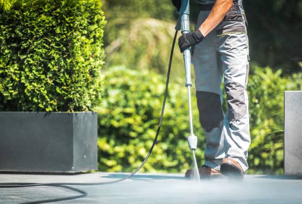 Best House Exterior Washing  in Cactus, TX