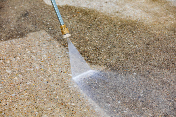 Best Winterizing Services  in Cactus, TX