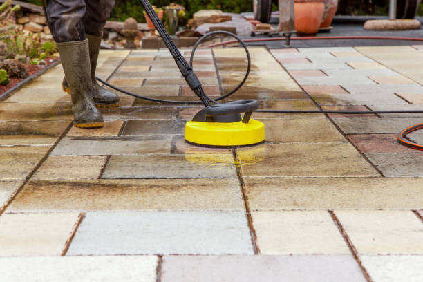 Best Animal Enclosure Cleaning  in Cactus, TX