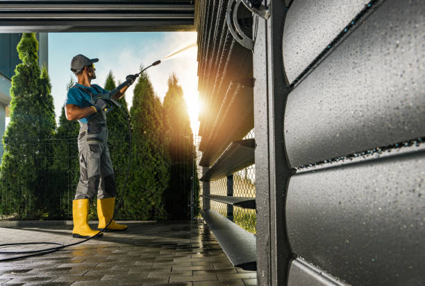 Animal Enclosure Cleaning in Cactus, TX